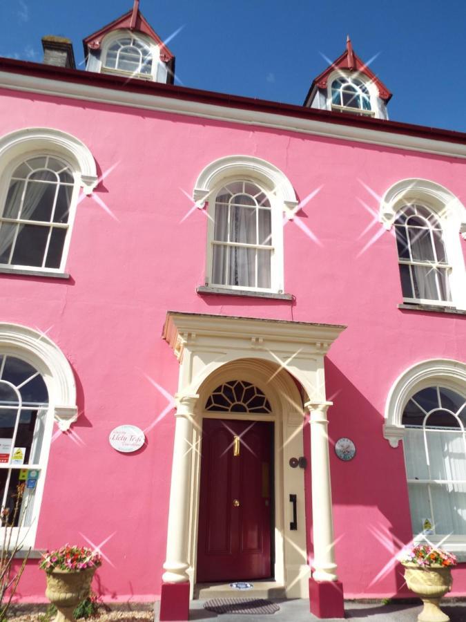Llety Teifi Guesthouse Cardigan Eksteriør billede